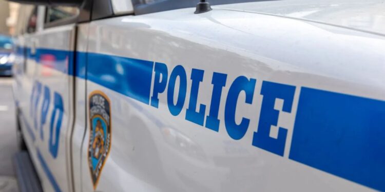 Elderly New York Woman Receives $144 In Toll Violations Because To Cop Sharing The Same License Plate