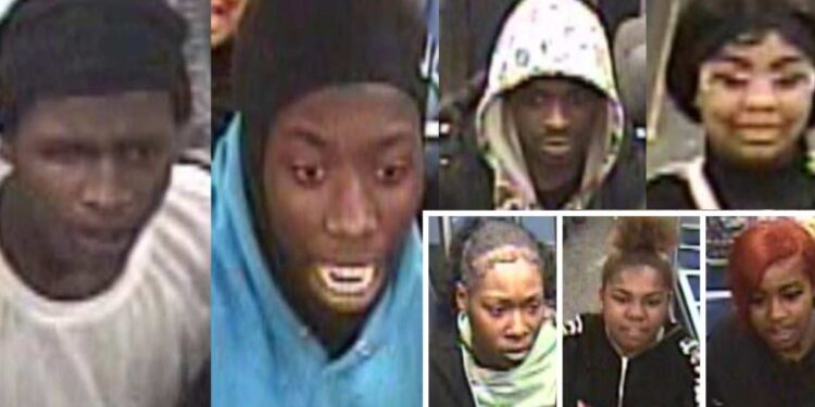 Police: 4 Women And 3 Men Attacked And Robbed Red Line Passenger