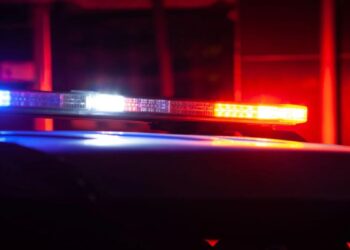 Woman Apprehended In Bronx With Stolen BMW And Forged Plates