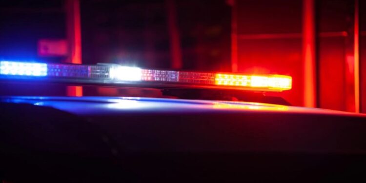 Woman Apprehended In Bronx With Stolen BMW And Forged Plates