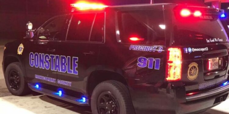 Woman Apprehended In Spring For Exploiting The Elderly