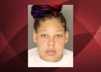 Woman Sentenced To Prison For Killing Drinking Companion In Pittsburgh Apartment